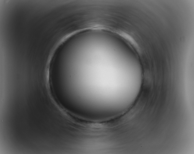 X0000089871424200707121746