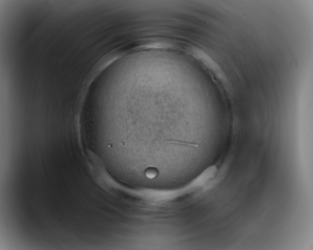 X0000089871425200707121746