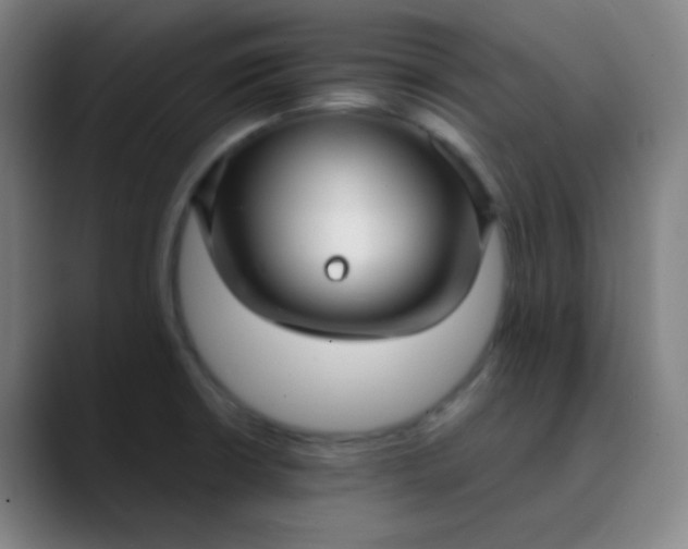 X0000089871426200707121746