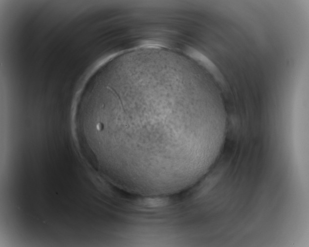 X0000089871427200707121746