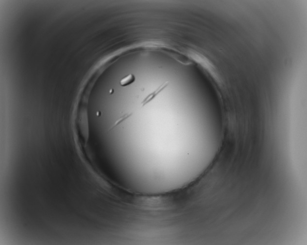 X0000089871428200707121746