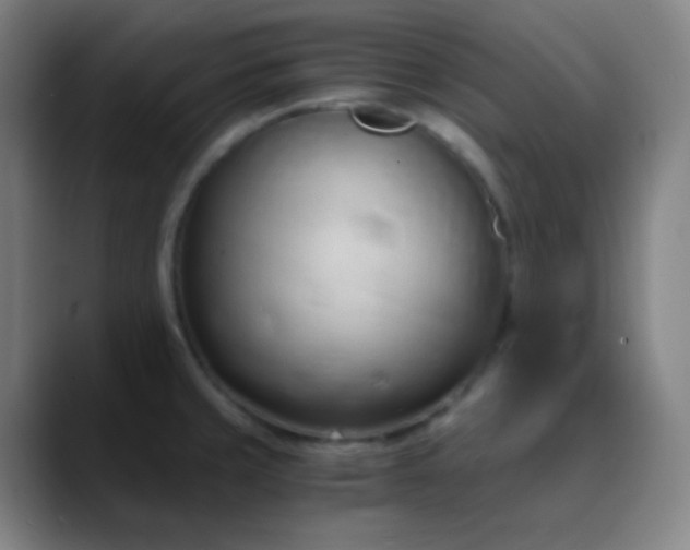 X0000089871429200707121746