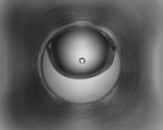 X0000089871430200707121746