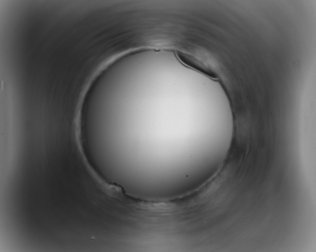 X0000089871432200707121746