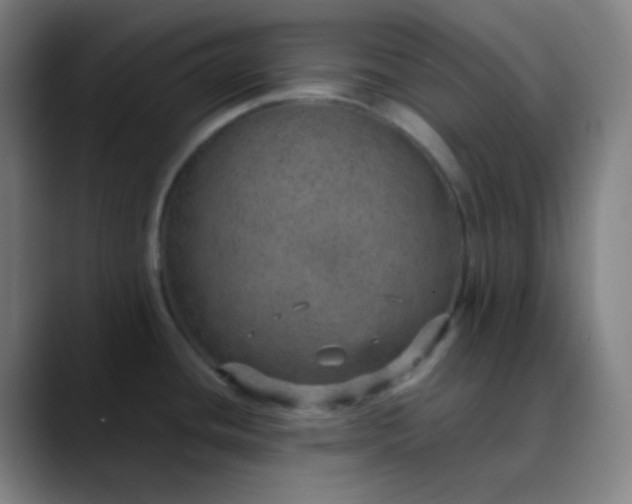 X0000089871436200707121746