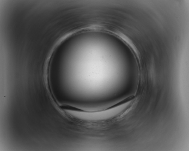 X0000089871437200707121746