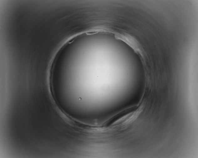 X0000089871438200707121746