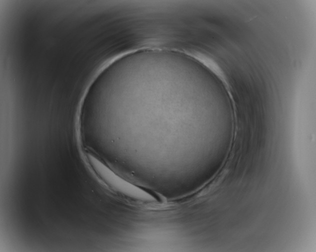 X0000089871440200707121746
