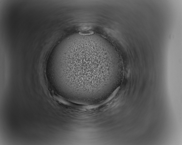 X0000089871441200707121746