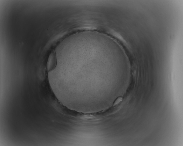 X0000089871448200707121746