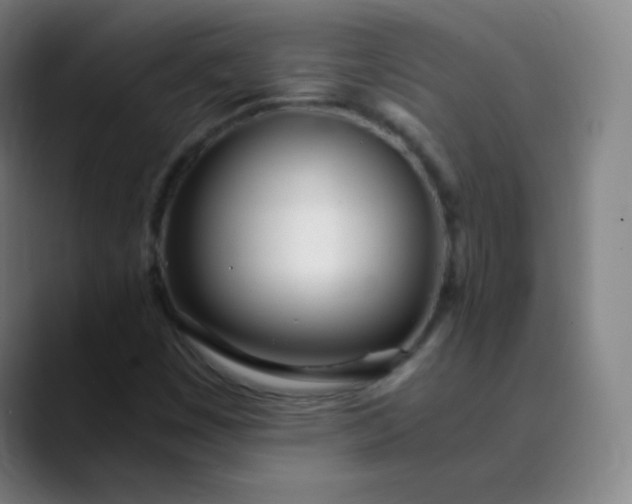 X0000089871449200707121746