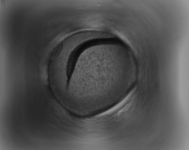 X0000089871455200707121745