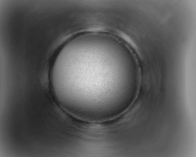 X0000089871456200707121745