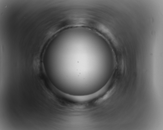 X0000089871457200707121745