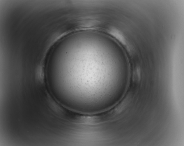 X0000089871458200707121745