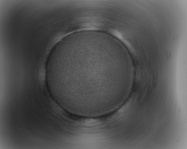 X0000089871459200707121745