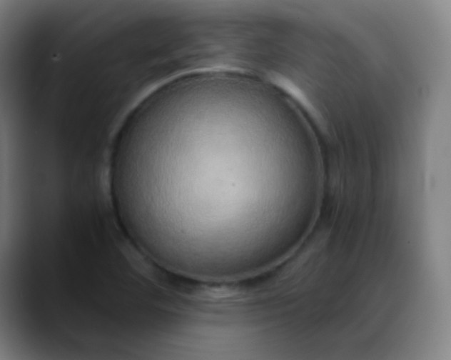 X0000089871460200707121745