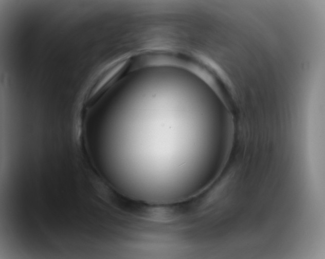 X0000089871461200707121745