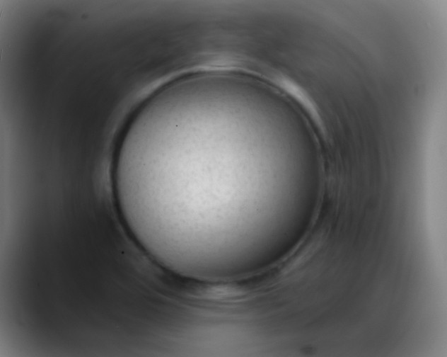 X0000089871464200707121745