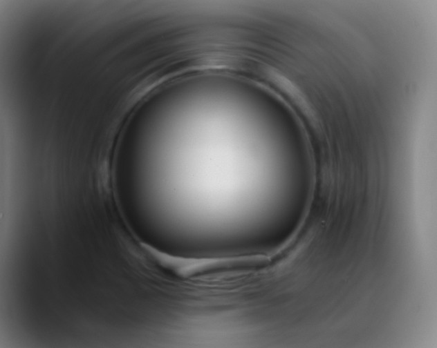 X0000089871465200707121745