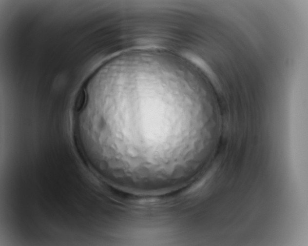 X0000089871467200707121745