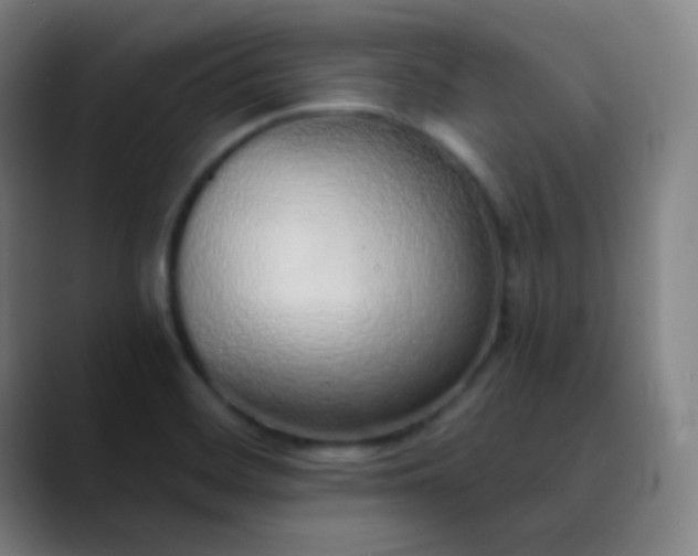 X0000089871468200707121745