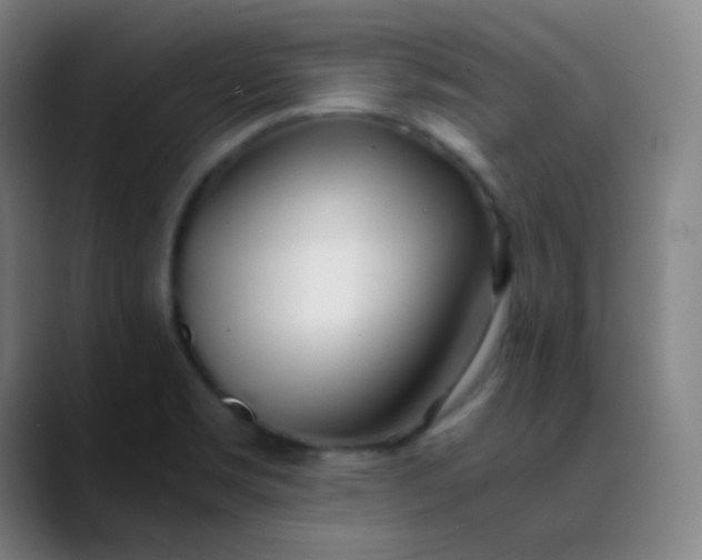 X0000089871469200707121745