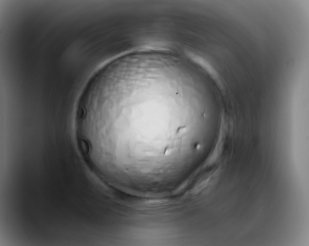 X0000089871471200707121745