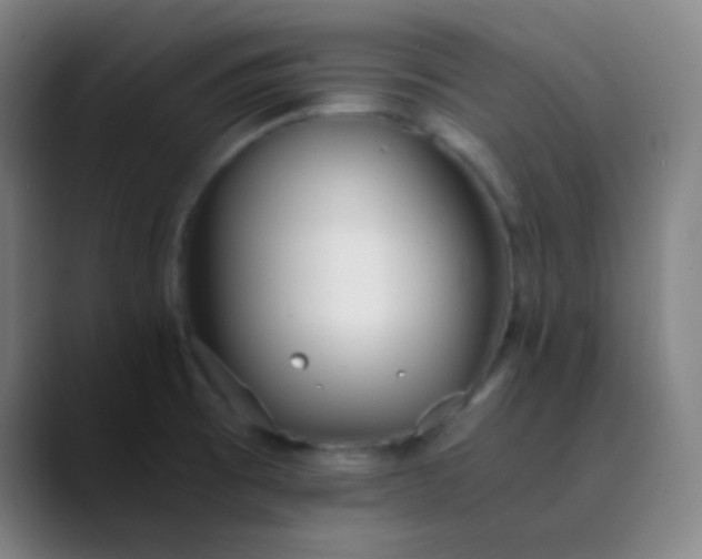 X0000089871473200707121745