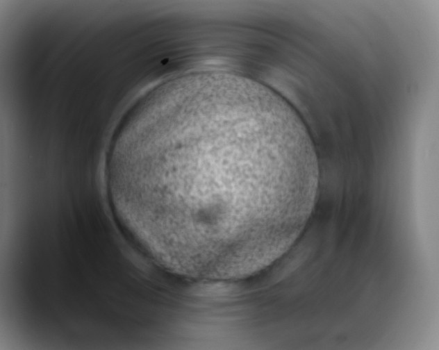 X0000089871474200707121745