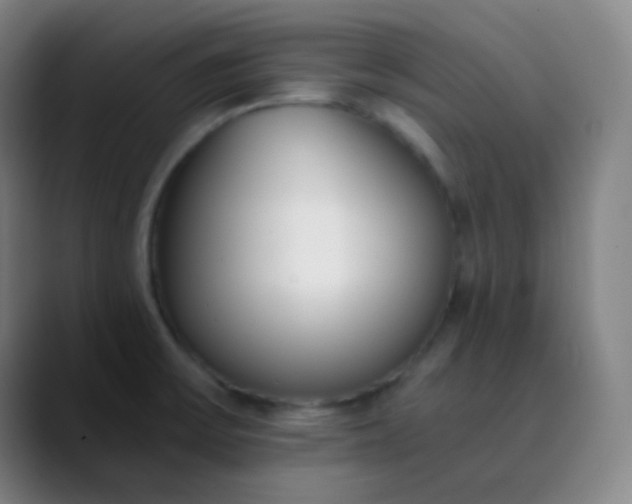 X0000089871475200707121745