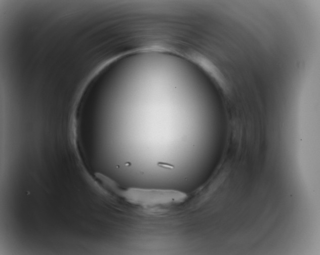 X0000089871476200707121745