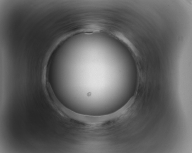 X0000089871477200707121745