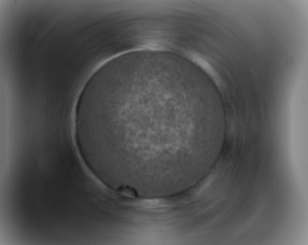 X0000089871479200707121745