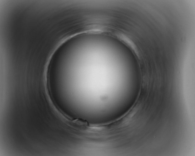 X0000089871483200707121745