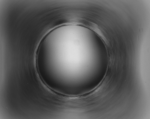 X0000089871484200707121745
