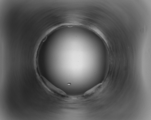 X0000089871485200707121745