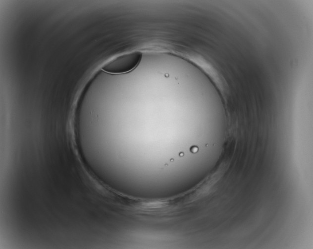 X0000089871486200707121745