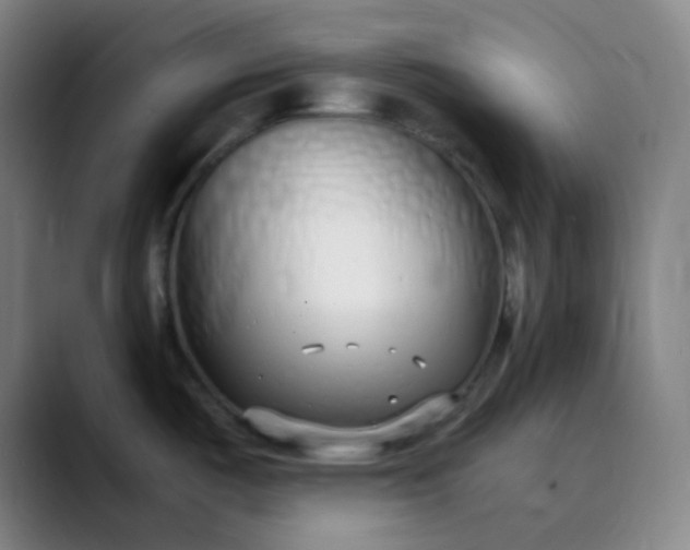 X0000089871487200707121745