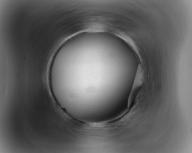 X0000089871488200707121745