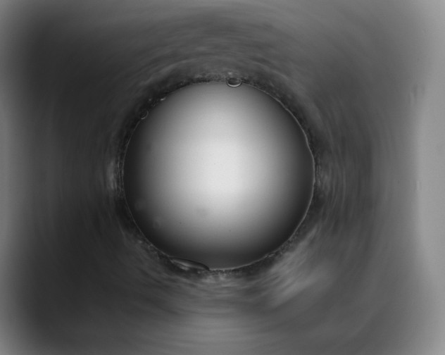 X0000089871490200707121745