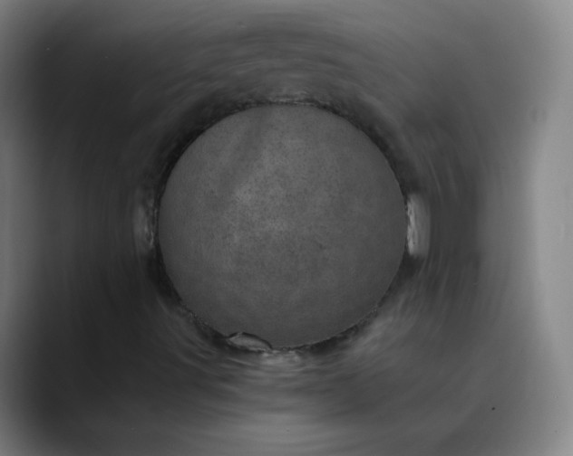 X0000089871491200707121745