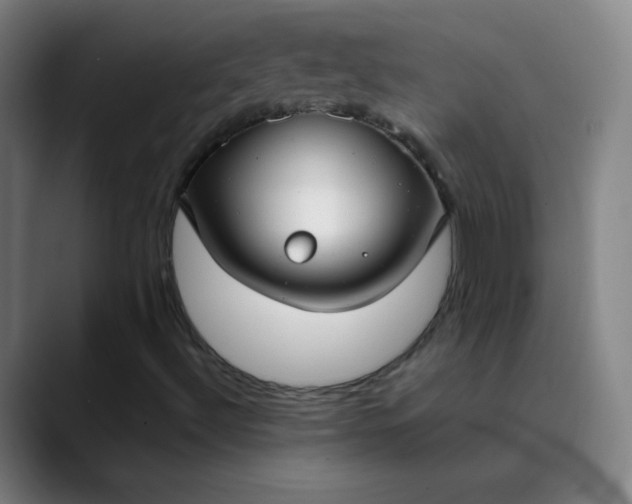 X0000089871492200707121745