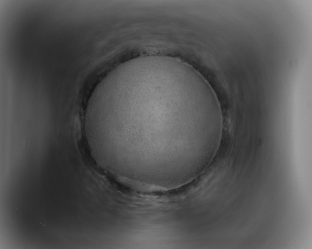 X0000089871493200707121745