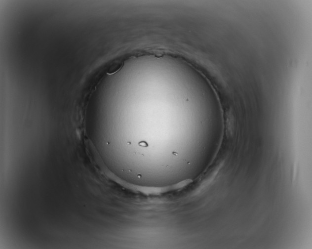X0000089871494200707121745