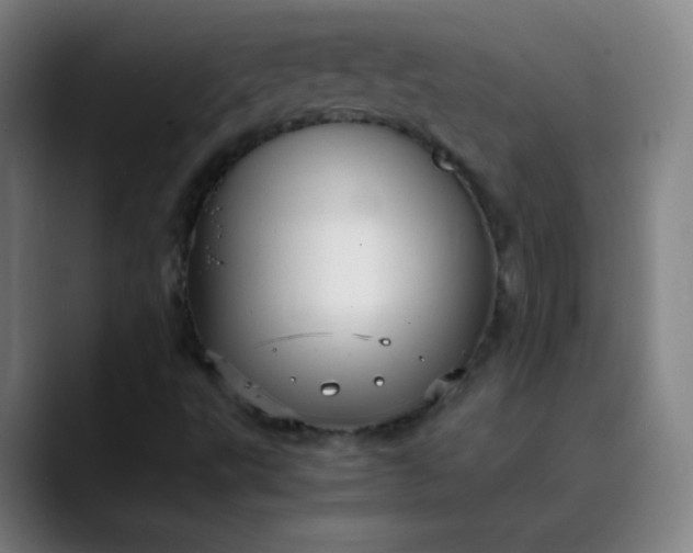 X0000089871495200707121745