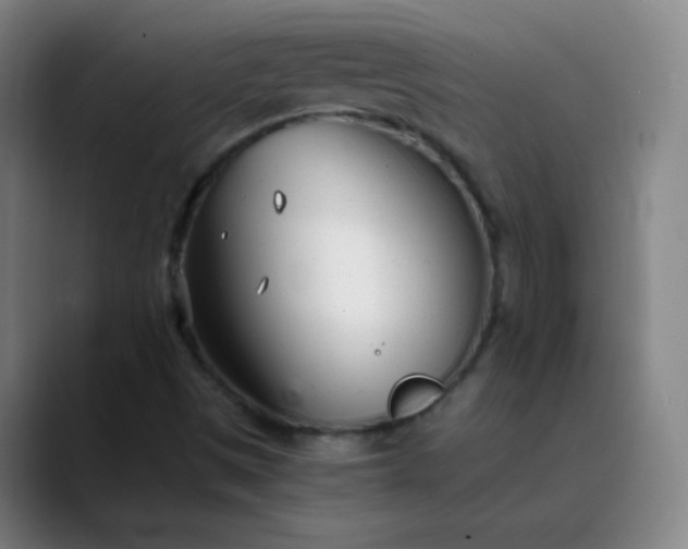 X0000089871497200707121745