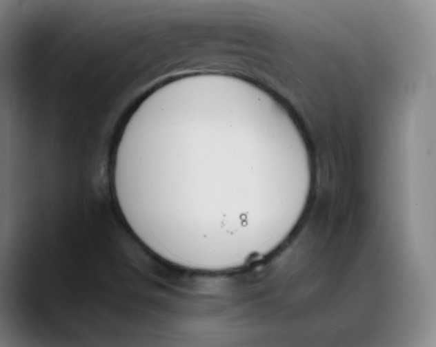 X0000089871498200707121745