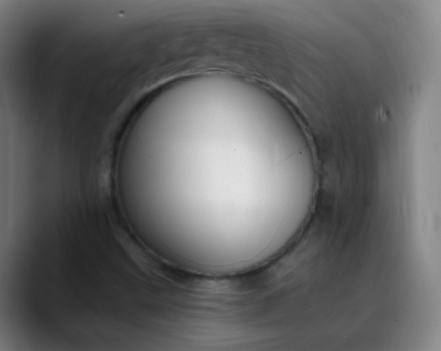 X0000089871499200707121745