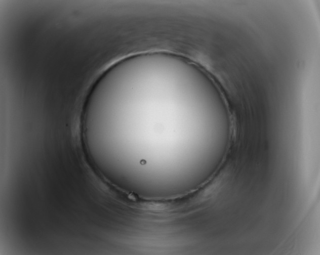 X0000089871500200707121745